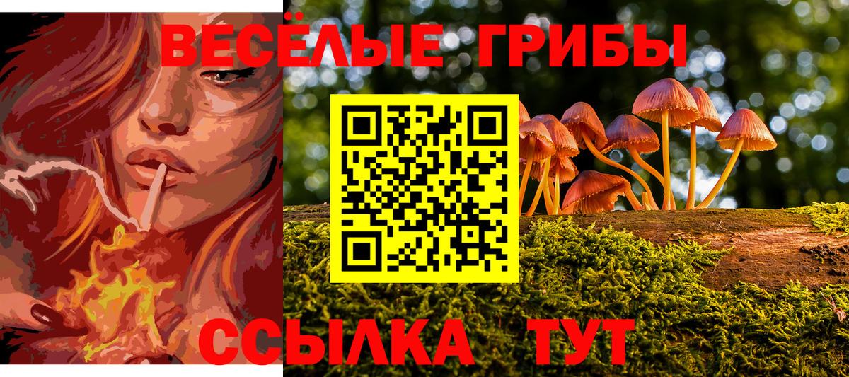Псилоцибиновые грибы Cubensis Энгельс