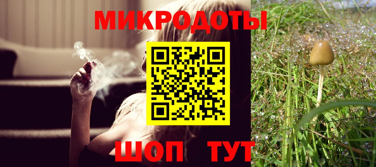 Энгельс  Галлюциногенные грибы MAGIC MUSHROOMS  Вход с VPN 